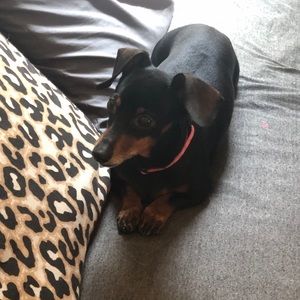 Meet your Posher, Leah